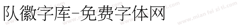 队徽字库字体转换