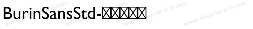 BurinSansStd字体转换