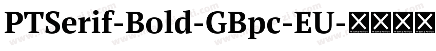 PTSerif-Bold-GBpc-EU字体转换