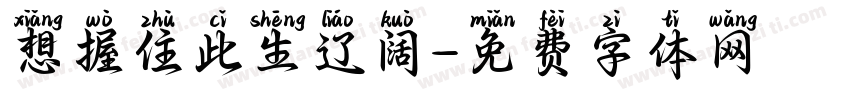 想握住此生辽阔字体转换