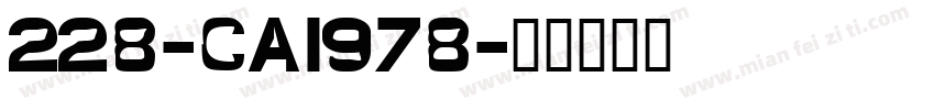 228-CAI978字体转换