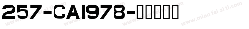 257-CAI978字体转换