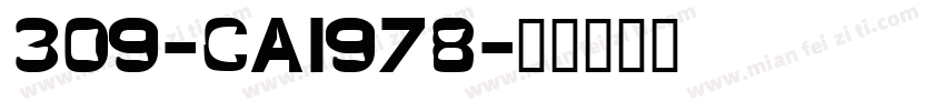 309-CAI978字体转换