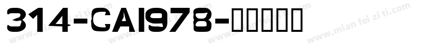 314-CAI978字体转换