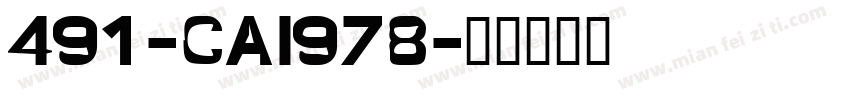 491-CAI978字体转换