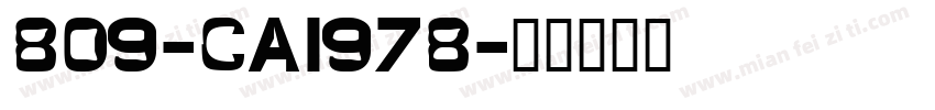 809-CAI978字体转换