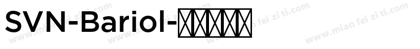 SVN-Bariol字体转换