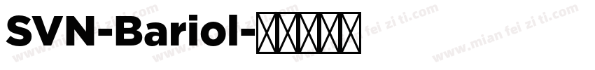 SVN-Bariol字体转换