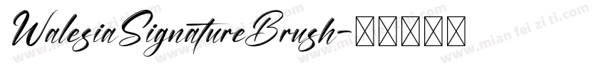WalesiaSignatureBrush字体转换