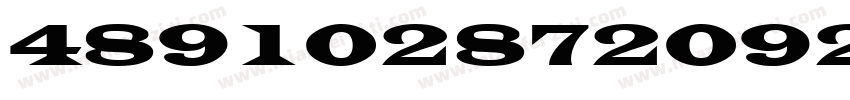 4891028720928字体转换