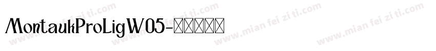 MontaukProLigW05字体转换