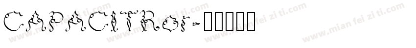 CAPACITRor字体转换