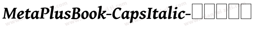 MetaPlusBook-CapsItalic字体转换