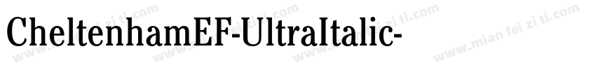 CheltenhamEF-UltraItalic字体转换