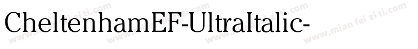 CheltenhamEF-UltraItalic字体转换