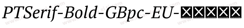 PTSerif-Bold-GBpc-EU字体转换