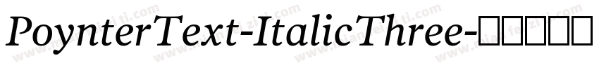 PoynterText-ItalicThree字体转换