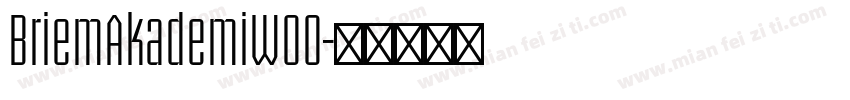 BriemAkademiW00字体转换
