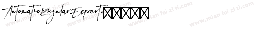 AutomaticRegularExpert字体转换