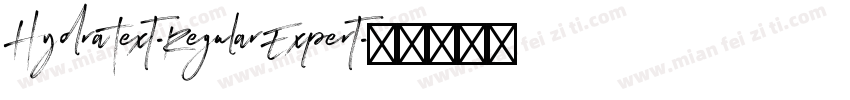 HydraText-RegularExpert字体转换