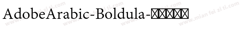 AdobeArabic-Boldula字体转换