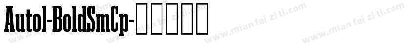 Auto1-BoldSmCp字体转换