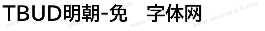 TBUD明朝字体转换