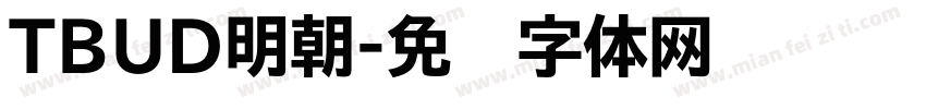 TBUD明朝字体转换