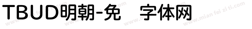 TBUD明朝字体转换