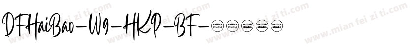 DFHaiBao-W9-HKP-BF字体转换