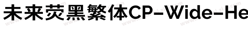 未来荧黑繁体CP-Wide-Heavy手机版字体转换