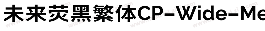 未来荧黑繁体CP-Wide-Medium生成器字体转换