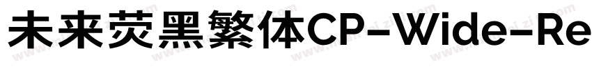 未来荧黑繁体CP-Wide-Regular手机版字体转换