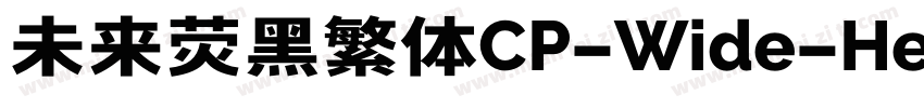 未来荧黑繁体CP-Wide-Heavy手机版字体转换