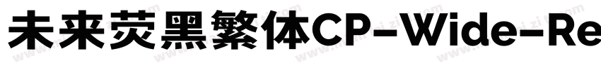 未来荧黑繁体CP-Wide-Regular手机版字体转换