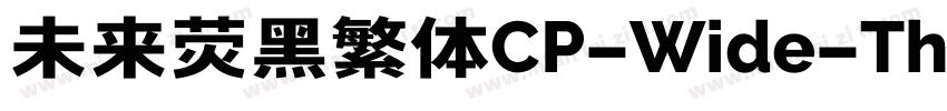 未来荧黑繁体CP-Wide-Thin手机版字体转换