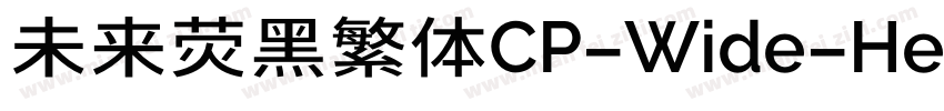 未来荧黑繁体CP-Wide-Heavy手机版字体转换