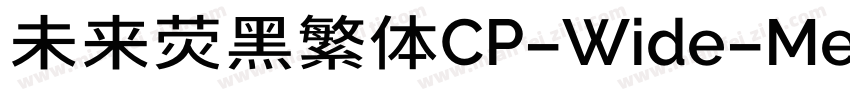 未来荧黑繁体CP-Wide-Medium生成器字体转换