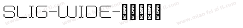 slig-wide字体转换