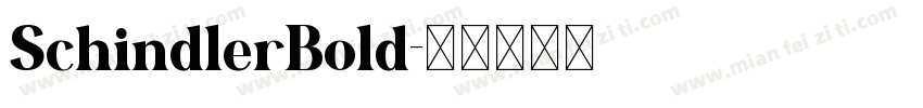 SchindlerBold字体转换