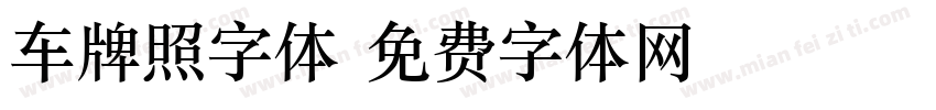 车牌照字体字体转换