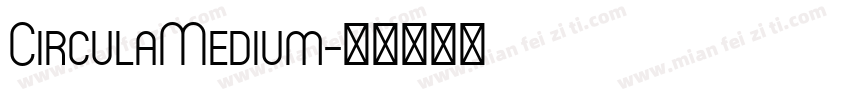 CirculaMedium字体转换