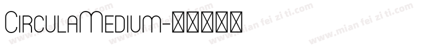 CirculaMedium字体转换