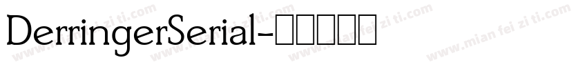 DerringerSerial字体转换