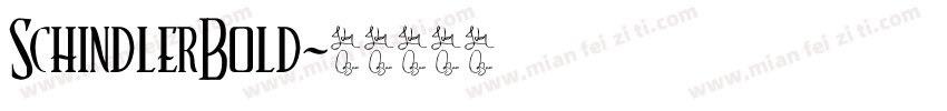 SchindlerBold字体转换