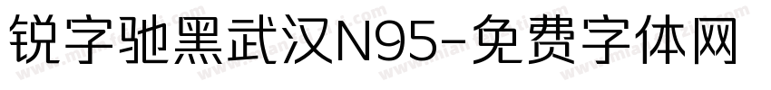 锐字驰黑武汉N95字体转换