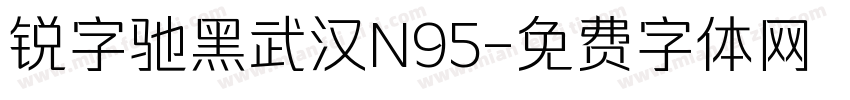 锐字驰黑武汉N95字体转换