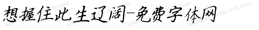 想握住此生辽阔字体转换