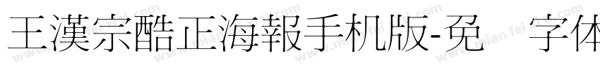 王漢宗酷正海報手机版字体转换