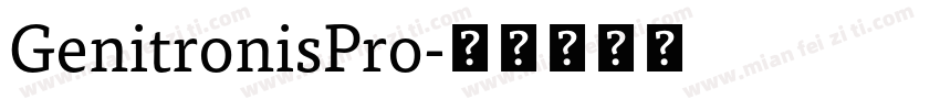 GenitronisPro字体转换